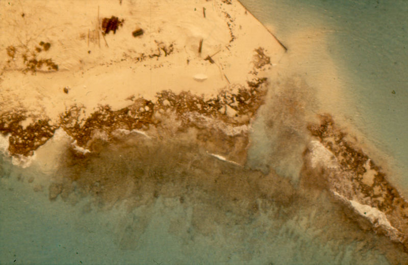 ../images/Other/Bimini/DesmondTreasure/slides/BedrockGroovesNearShore800.jpg