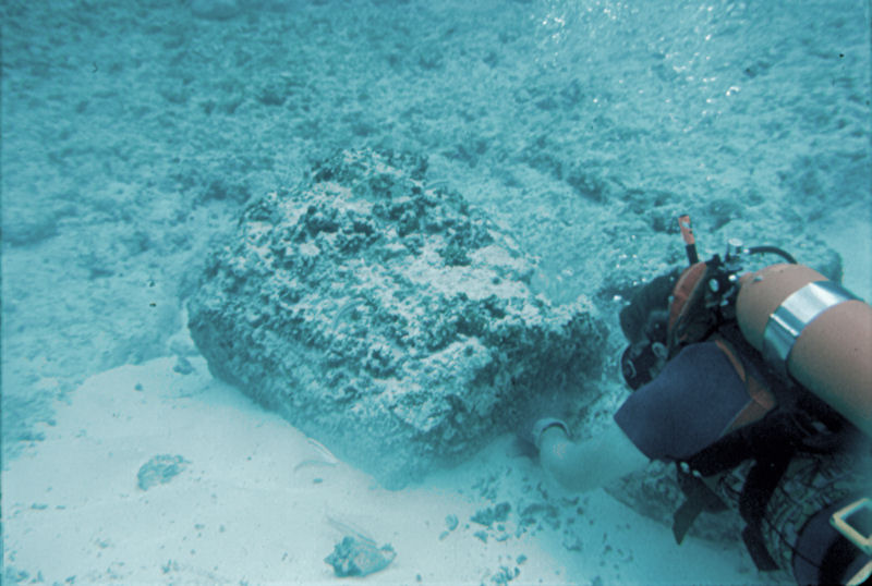 ../images/Other/Bimini/DesmondTreasure/slides/Diver_MarbleColumn_filtered_800.jpg